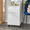 Wenz 2 Drawer Contemporary File Cabinet White - Buylateral -Office Furniture GUEST 0dc03a2b c544 4f4a 9901 25b8048b3307