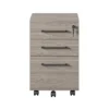 Parkside Mobile File Cabinet Light Brown - Ameriwood Home 1 Parkside Mobile File Cabinet Light Brown - Ameriwood Home -Office Furniture GUEST 2e02a959 0fb6 442e 8ec8 d87345a76dc8