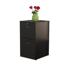 Wilson 2 Drawer Filing Cabinet - Buylateral -Office Furniture GUEST 4805f355 119c 471f bb76 d60096bb8581