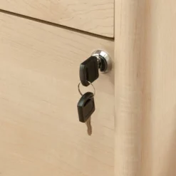 Whitaker Point 2 Drawer Lateral File Natural Maple - Sauder 10 Whitaker Point 2 Drawer Lateral File Natural Maple - Sauder -Office Furniture GUEST 7ca39bdd 5db5 47c5 a56f e0ff3ff95f4f