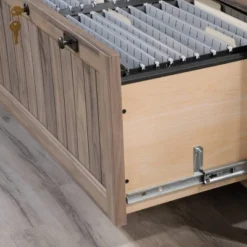 2 Drawer Costa Lateral File Cabinet Walnut - Sauder -Office Furniture GUEST 968fdcd9 d9f8 486f 80b3 7872b42a7451