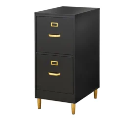Dixie 2 Drawer Filing Cabinet - Buylateral -Office Furniture GUEST a6c30278 e9d2 483a b366 845bb9afa6b5